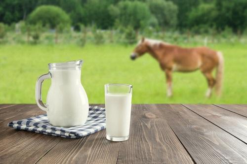 馬乳酒は遊牧民伝統の飲み物！カルピスの起源になったのは本当？