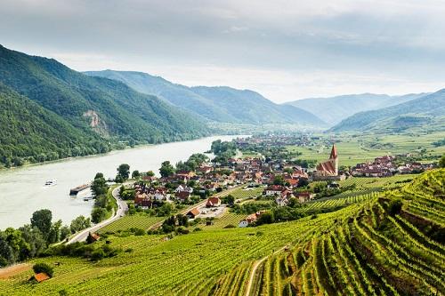 オーストリアワインは固有品種の自然派が多い高品質なワイン！