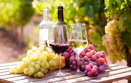 ワイン酵母について詳しく解説！基本を知ってもっとワインを楽しもう